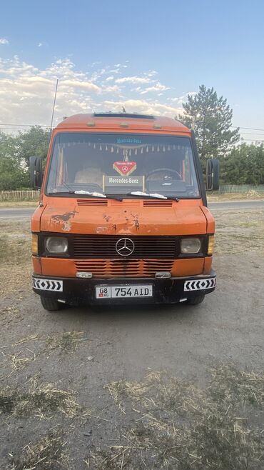американская короткошёрстная кошка купить: Mercedes-Benz : 1987 г., 2.9 л, Механика, Дизель, Бус