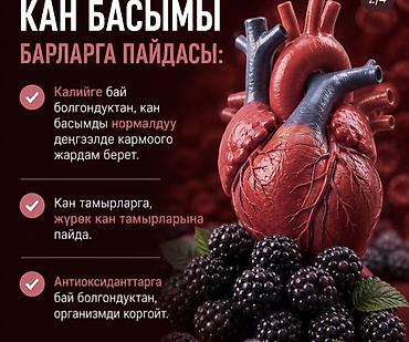 ежевики: Ежевика Оптом, Бесплатная доставка — 3