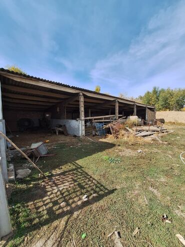 Продажа участков: 44 соток, Красная книга — 6