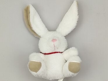 kombinezon królik dla dziecka: М'яка іграшка Кролик, стан - Дуже гарний