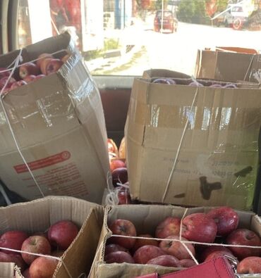 алма голден: Продаются яблоки ноокатские!!! 
Свежий урожай 
сорт: крипсон