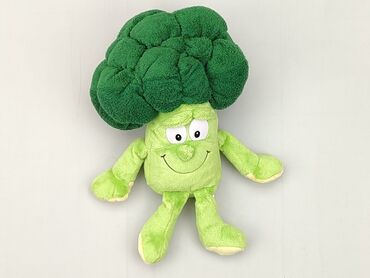 stroje kąpielowe 4f dla dzieci: Mascot Vegetable, condition - Good