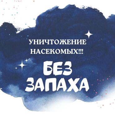 шампунь для ковров: Дезинфекция, дезинсекция, | Блохи, Клопы, Тараканы, | Кафе, магазины, Офисы, Транспорт