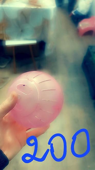 Зоотовары: Клетки очень дешево. распродаю остатки. цены от 500 до 1200 сом — 26