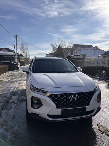 hyundai santa fe автомобили: Hyundai Santa Fe: 2019 г., 2 л, Автомат, Дизель, Кроссовер