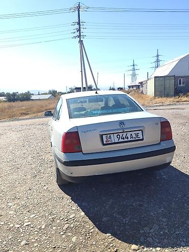 Volkswagen: Volkswagen Passat: 2000 г., 1.8 л, Автомат, Бензин, Седан — 5