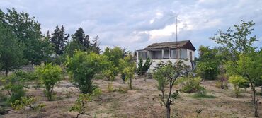 Torpaq sahələrinin satışı: Kupça (Çıxarış) — 5