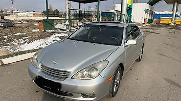 сетки на авто: Lexus ES: 2004 г., 3.3 л, Автомат, Газ, Седан — 1
