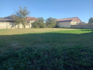 продажа дачных участков в баку: 10 sot, Tikinti