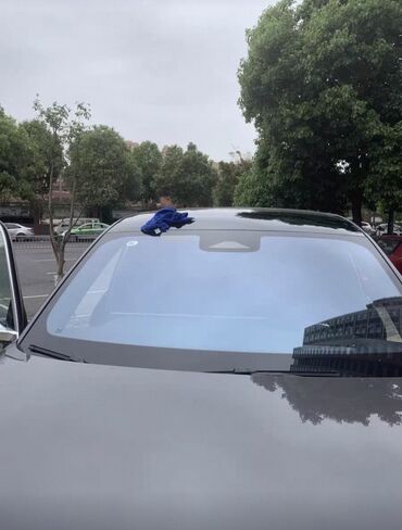 Декоративные накладки: Декоративные накладки Lixiang, Новый, Платная доставка, Самовывоз — 12