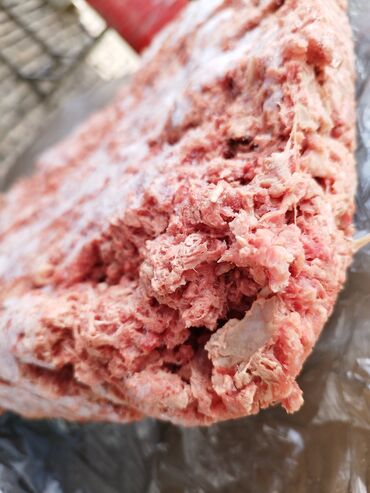 бролер мясо: Корм для собак,куриц, свиней,кошек,уток и.т.д дробленые кости броллера