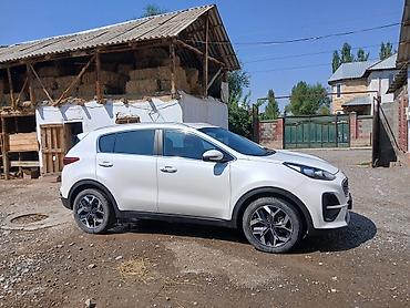 рестайл: Kia Sportage: 2021 г., 1.6 л, Автомат, Дизель, Кроссовер — 2
