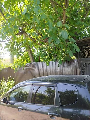 Продажа дач: Дача в с/о «Текстильщик» - Кирпичный дом, выполнен ремонт - Участок — 12