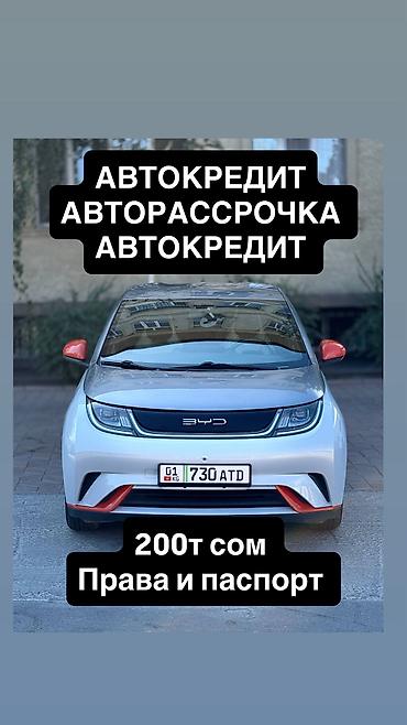 толка оптом: BYD Dolphin: 2022 г., Электромобиль, Хэтчбэк — 1