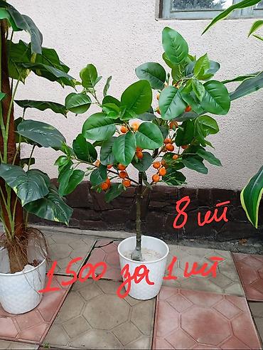 Декоративные цветы: Декоративные искусственные растения в кашпо 
горшки в комплекте — 6