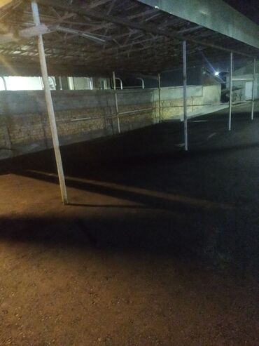 Кладка: 🚧 Укладка асфальта под ключ Профессионально укладываем асфальт на
