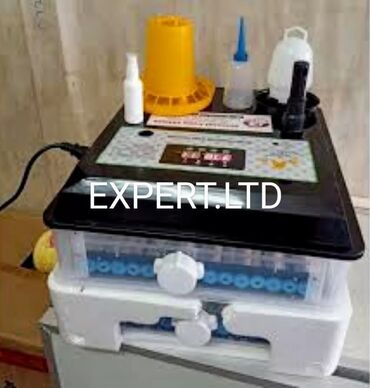 Digər quşlar: Expert şirkətinin rəsmi istehsalı olan, android-rejimli aparatların — 30