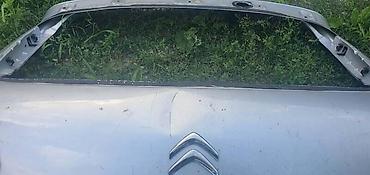 odstojnike: GEPEK VRATA ZA CITROEN C4 | Citroen c4 gepek vrata — 1