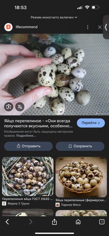 развивающий коврик fisher price: Перепелиные яйца свежие Чем больше берете чем больше скидка % -