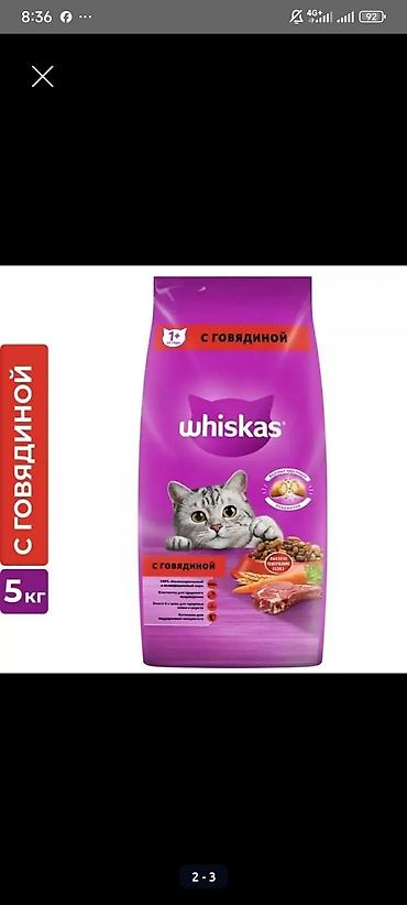 вискас: Корм для собак" Чаппи" 15кг -3700с. Вискас 13,8кг-6000с Вискас — 4