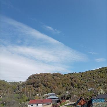 Torpaq sahələrinin satışı: Kənd təsərrüfatı — 6
