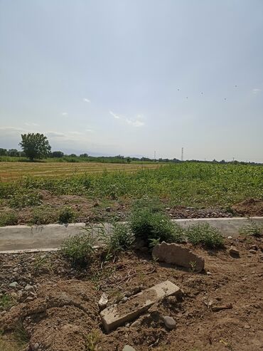 аренда дома на ночь: 300 соток, Айыл чарба үчүн, Техпаспорт, Белек келишими, Башкы ишеним кат