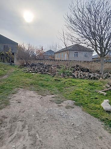 xırdalan torpaq satışı: Tikinti — 4