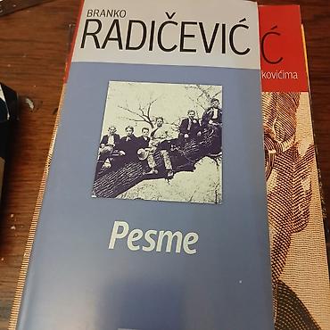 gitara lidl: Mini knjiga pesme b.radicevic — 1