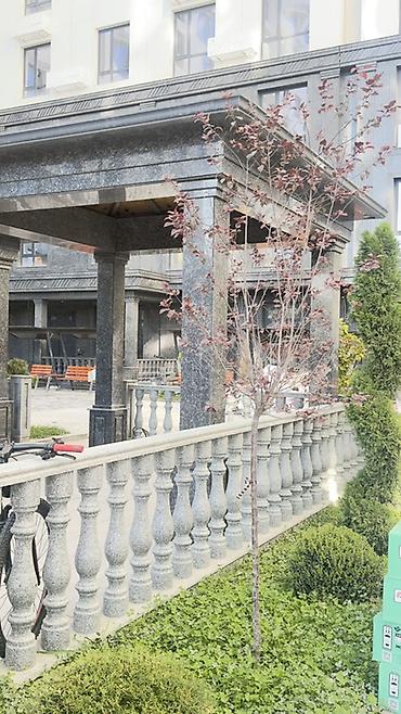 Продажа квартир: 2 комнаты, 88 м², Элитка, 2 этаж, ПСО (под самоотделку) — 1