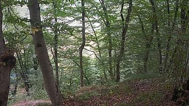 Torpaq sahələrinin satışı: 170 sot, Biznes üçün, Mülkiyyətçi, Kupça (Çıxarış) — 3