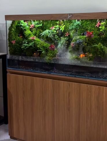 Akvarium aksessuar və ləvazimatları: Su canlıları sqxlamaq üçün uyğumdur. Sistem 24 və 12 volt enerji ilə — 5