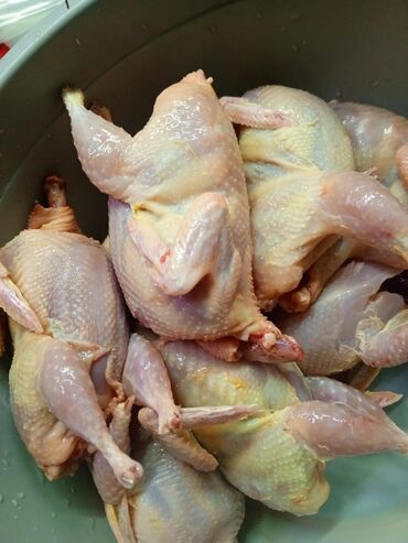 Mürəbbələr: Təmizlənmiş və dri halda bildirçinlər satılır Ünvan Quba 2 Nügədi