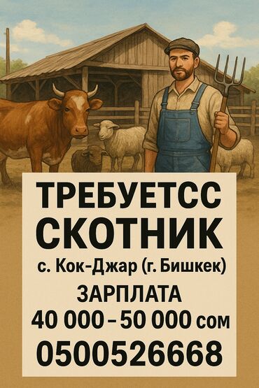 работа на иссык куле поваром: Талап кылынат Малчы, Төлөм Ай сайын
