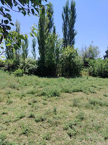 mehemmedi torpaq satilir: 200 sot, Mülkiyyətçi, Kupça (Çıxarış) — 3
