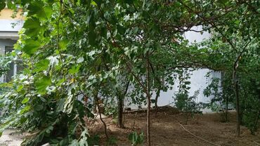 Yeni tikili: M. Həzi Aslanov, 2 otaqlı, Yeni tikili, m. Həzi Aslanov, 71 kv. m — 20