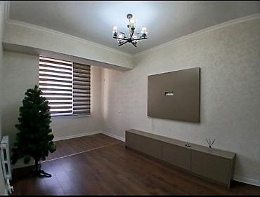 875: 1 комната, 43 м², Карпинка Элитка, 2 этаж, Евроремонт — 2