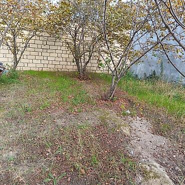 Torpaq sahələrinin satışı: 24 sot — 9