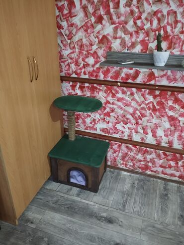 Продажа кошек: Гостиница для кошечек и маленьких собачек до 5 кг Предлагаем — 9