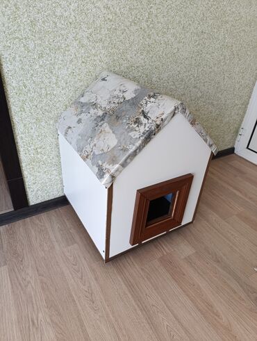 чихуахуа в добрые руки: Təzədi 
pişik və balaca itlər üçün 
ünvan Zabrat 1