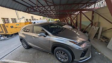nx: Lexus NX: 2017 г., 2 л, Автомат, Бензин, Кроссовер — 2