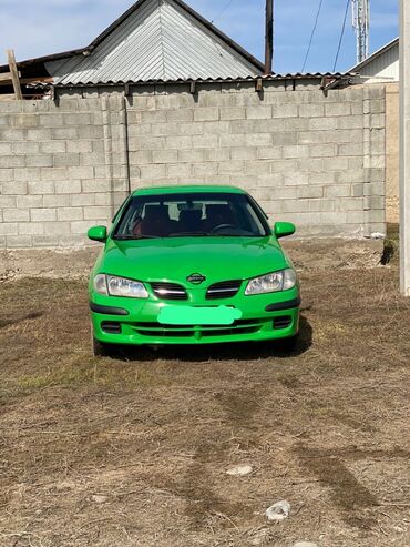 Nissan: Nissan Almera: 2001 г., 1.6 л, Автомат, Бензин, Хэтчбэк