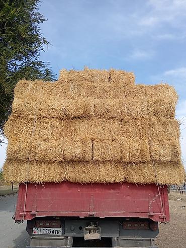 Тюки соломы ячменные плотный чистый доставка 🚚 есть стандартных