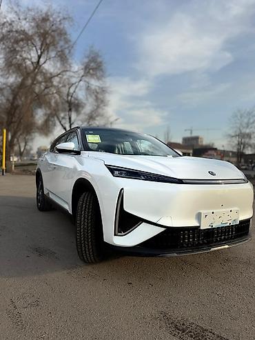 Dongfeng: Dongfeng : 2024 г., 0.1 л, Автомат, Электромобиль, Кроссовер — 13