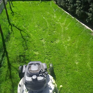 Bağbanlar: Bağ işləri ağac və kolların budanması,şəkilləndirməsi dərmanlara qazon -da lalafo.az — 15 Bağbanlar: Bağ işləri ağac və kolların budanması,şəkilləndirməsi dərmanlara qazon — 15