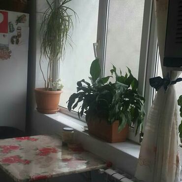 Köhnə tikili: Bakı, 5 otaqlı, Köhnə tikili, 120 kv. m — 10