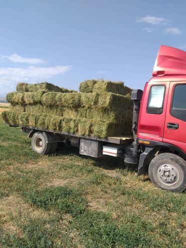 доска половая: По региону, По городу, без грузчика