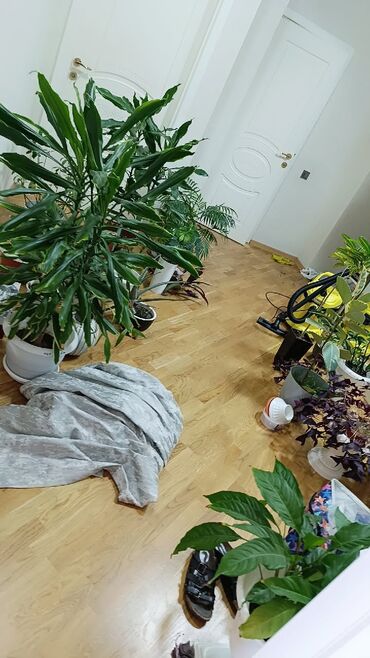 Duş kabinaları, arakəsmələr: Arakəsmə, Düzbucaqlı — 28