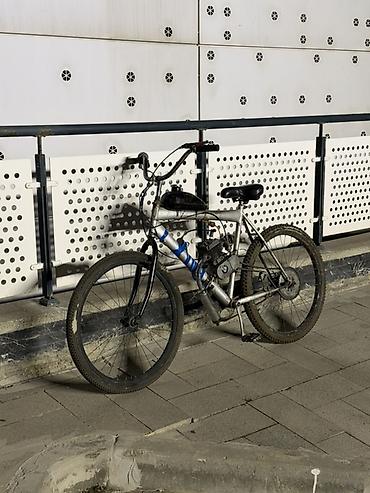 sederek velosiped: Benzin mühərrikli velosiped - Çərçivə: dağ velosipedi tipli — 3