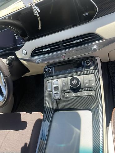 palisade: Hyundai Palisade: 2021 г., 2.2 л, Автомат, Дизель, Кроссовер — 6