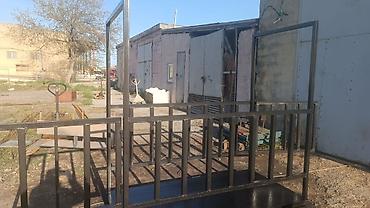 Digər kənd təssərüfat avadanlığı: Canlı inək, at, qoyun, keçi və digər heyvanların çəkisi üçün xüsusi — 5